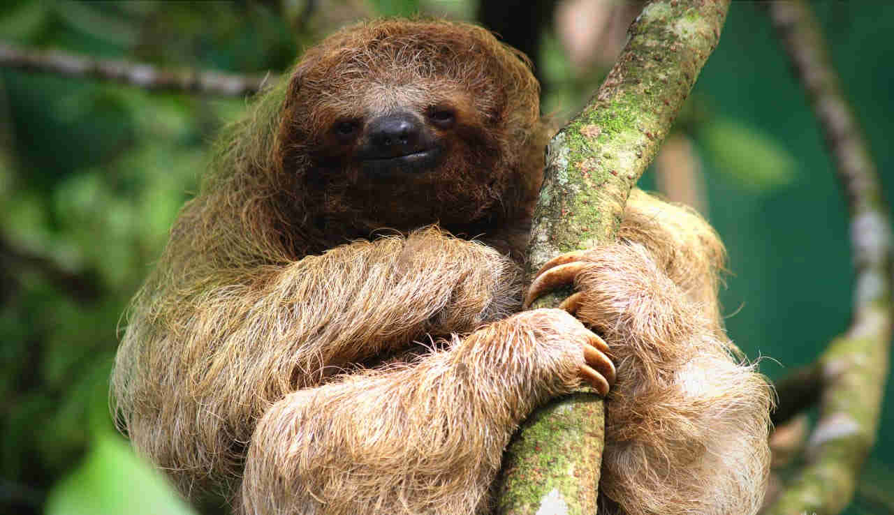 blue river waterfall tour potrero beach