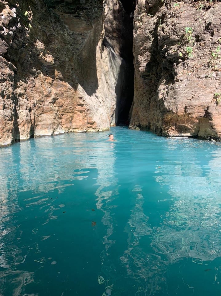 Blue River Hiking Tour rainforest hiking tour to the blue river