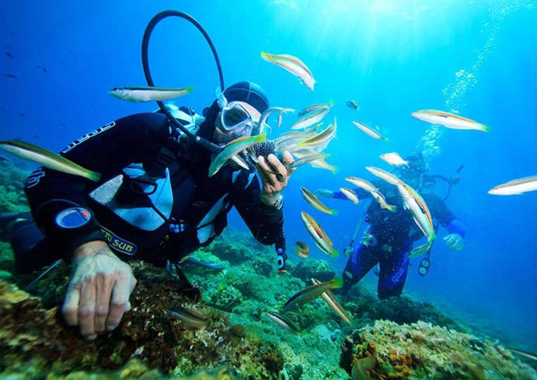 scuba diving lessons in playa potrero