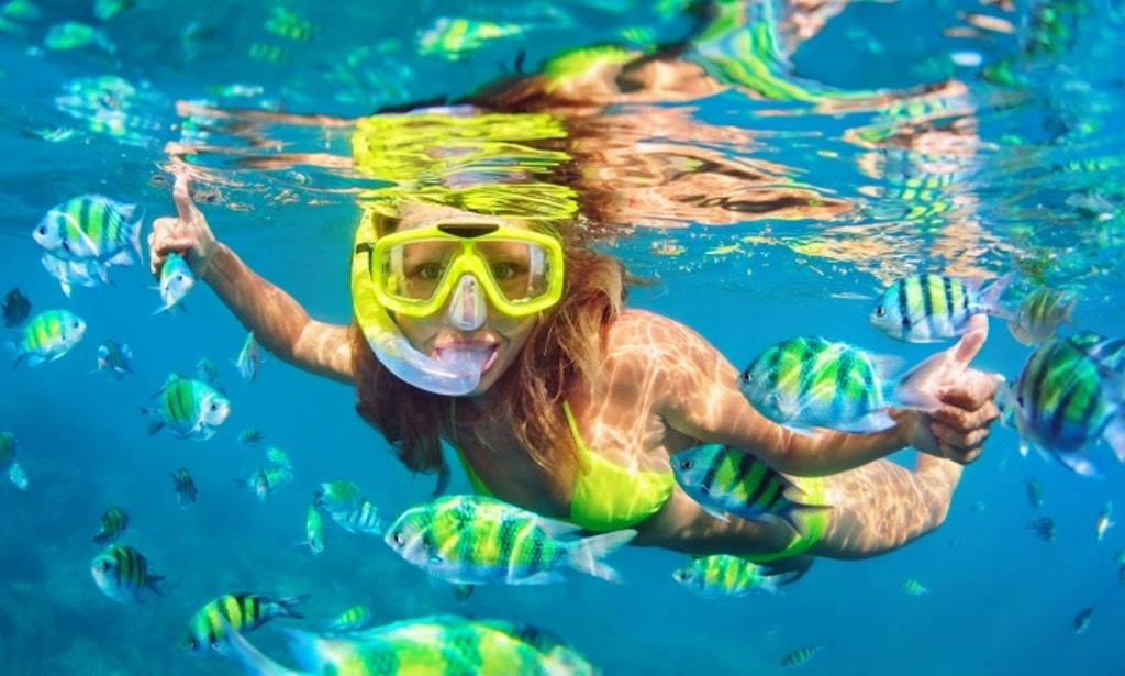 snorkeling tours in flamingo beach costa rica