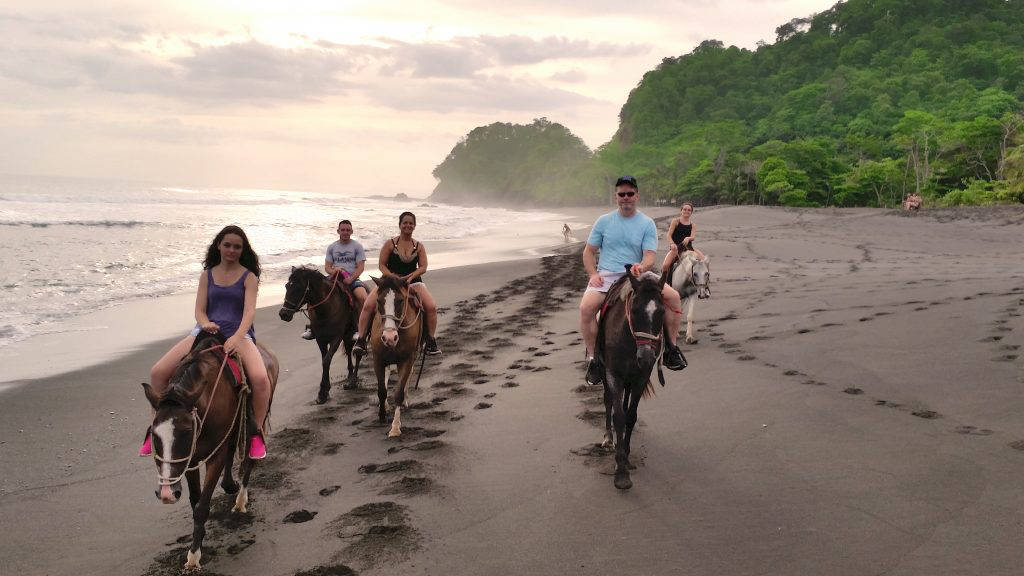 horseback riding tours on flamingo beach