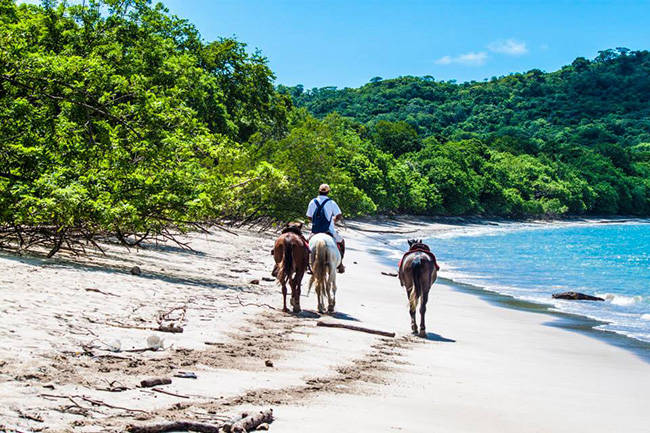 riding horses on white sand beaches in costa rica