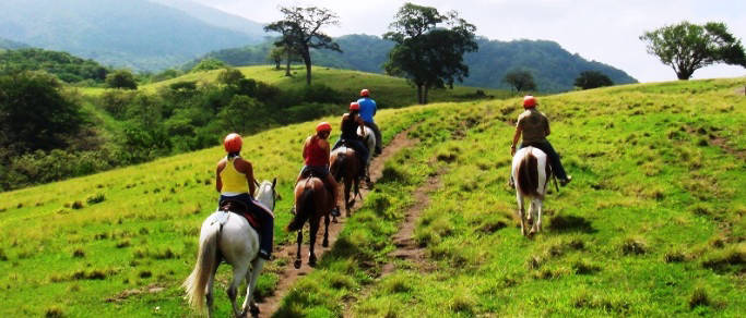 rainforest horseback riding tours
