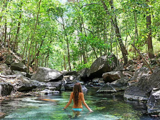 rain forest hot springs tour
