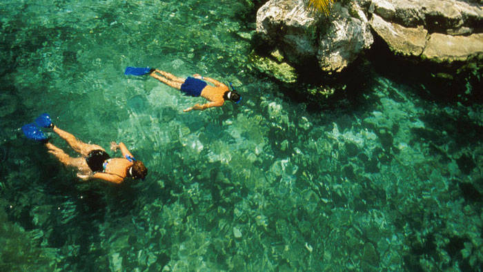 snorkeling tours from bahia del sol hotel