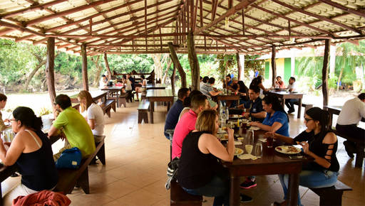 typical costa rica food in guanacaste